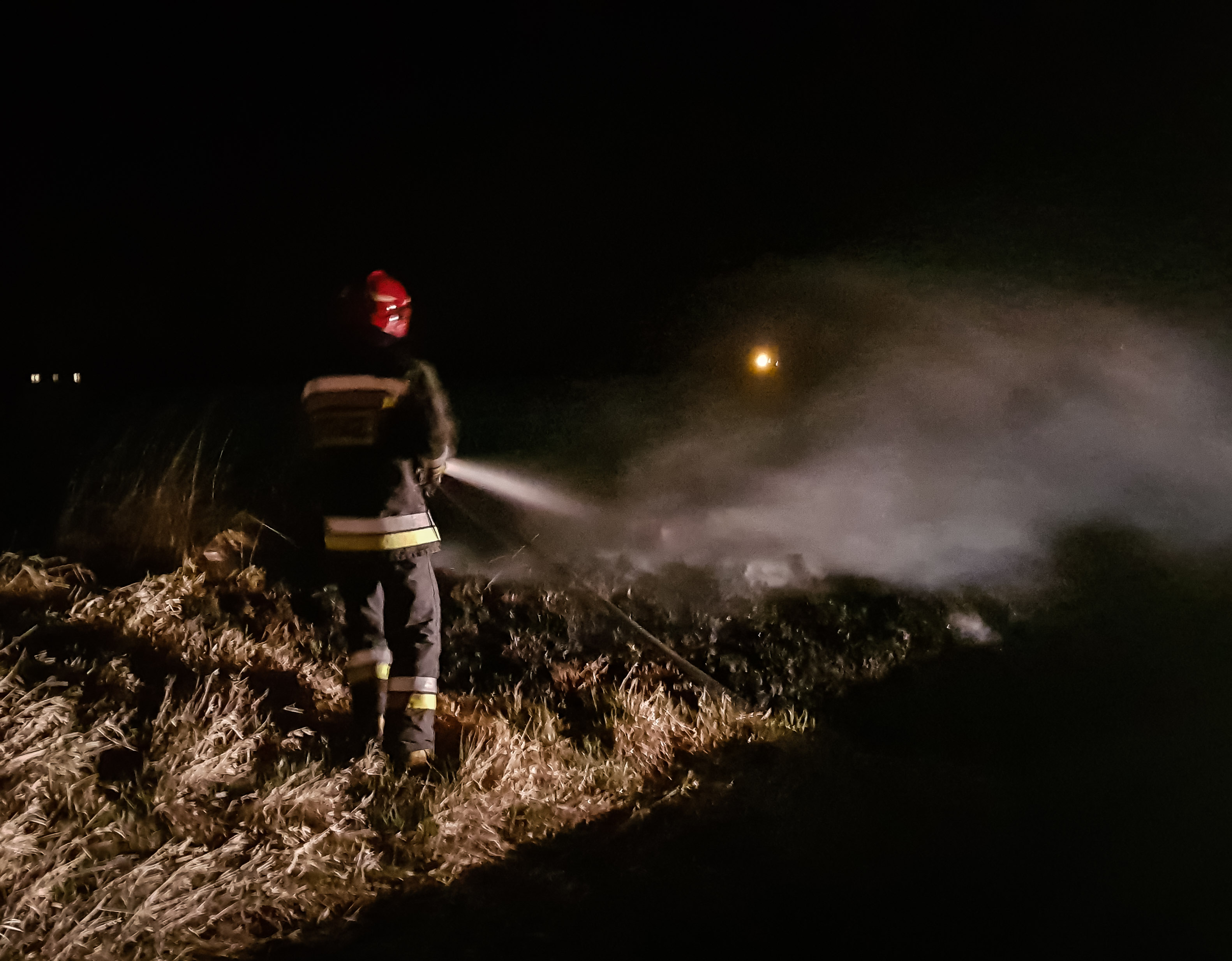 Pożar traw w Gawłuszowicach - Zdjęcie główne