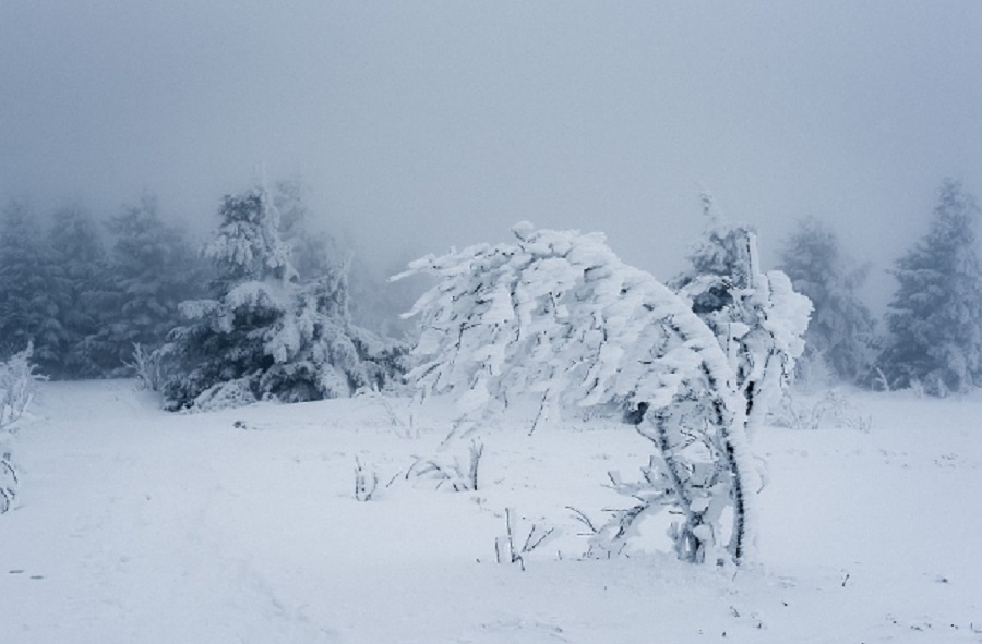 BIESZCZADY. I stopień zagrożenia lawinowego! - Zdjęcie główne