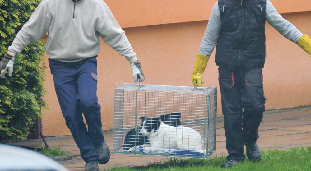 Sąsiedzi odetchnęli z ulgą - Zdjęcie główne