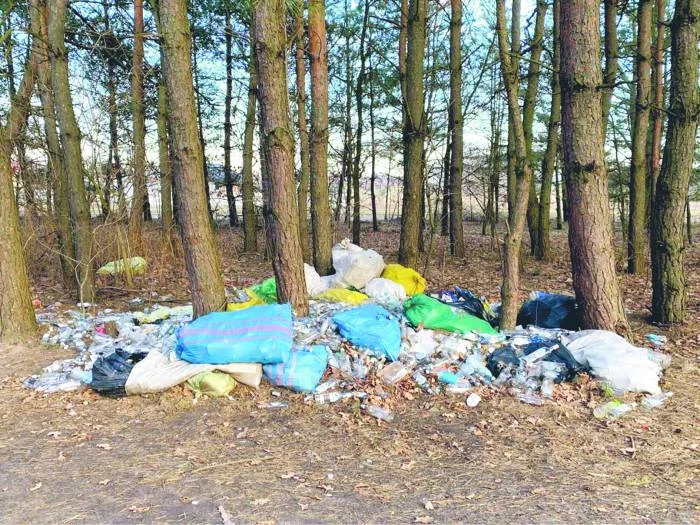 Nadleśnictwo Mielec podsumowało rok. Ilość śmieci przeraża - Zdjęcie główne