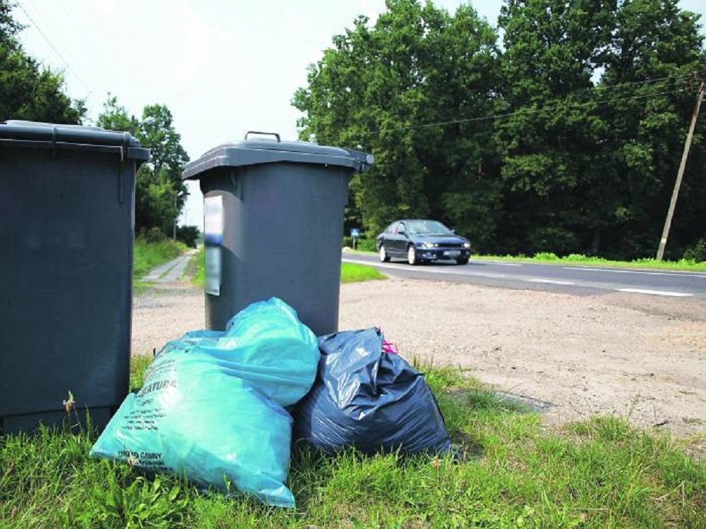 Śmieciowa rewolucja w Czerminie - Zdjęcie główne