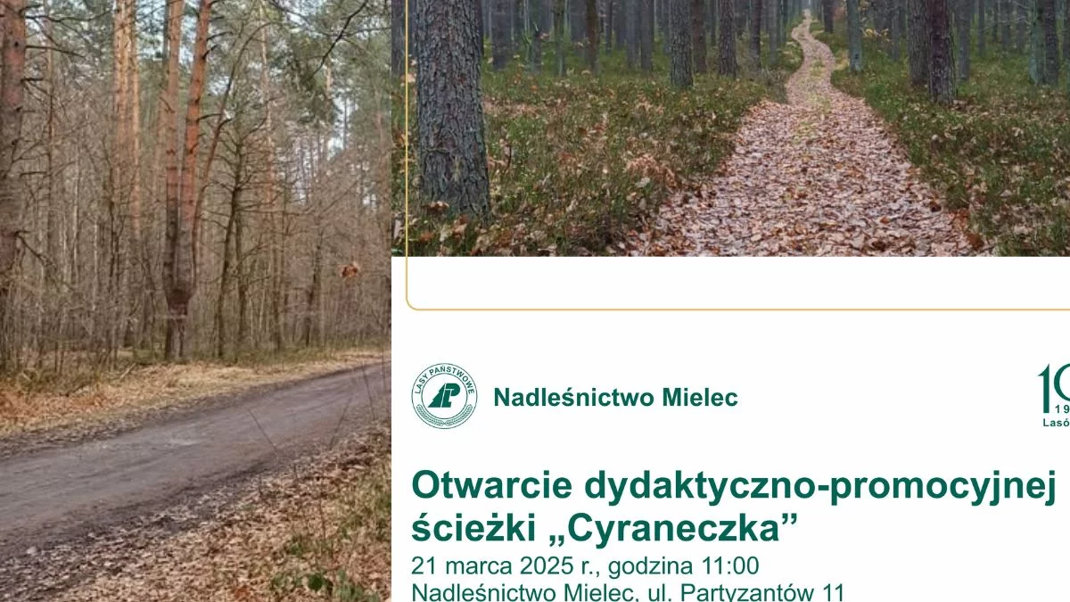 Na nią czekało wiele osób. Otwarcie dydaktyczno-promocyjnej ścieżki „Cyraneczka" już w piątek w Mielcu - Zdjęcie główne