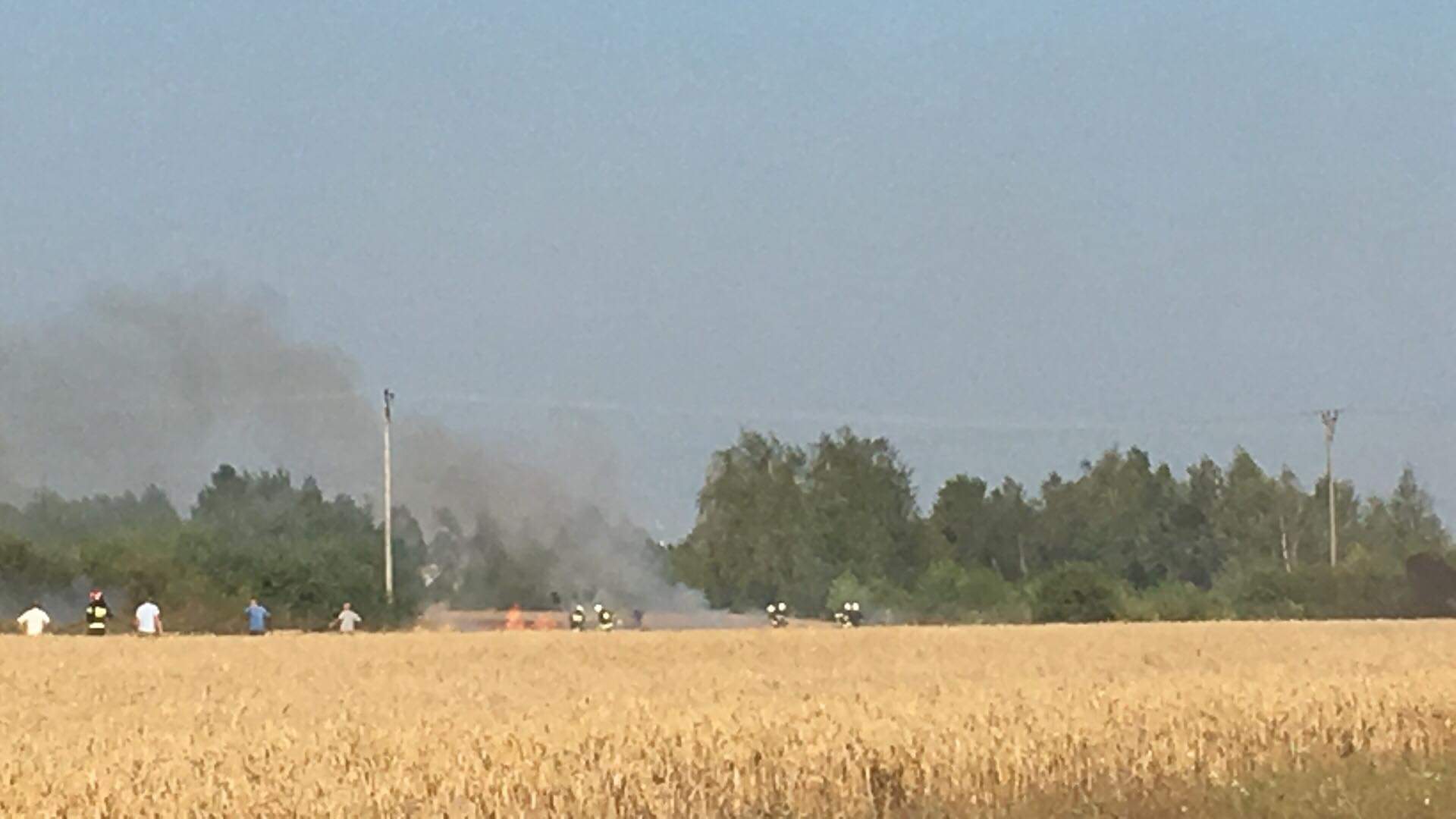 Pożar zboża. W akcji uczestniczy kilka zastępów straży pożarnej! - Zdjęcie główne