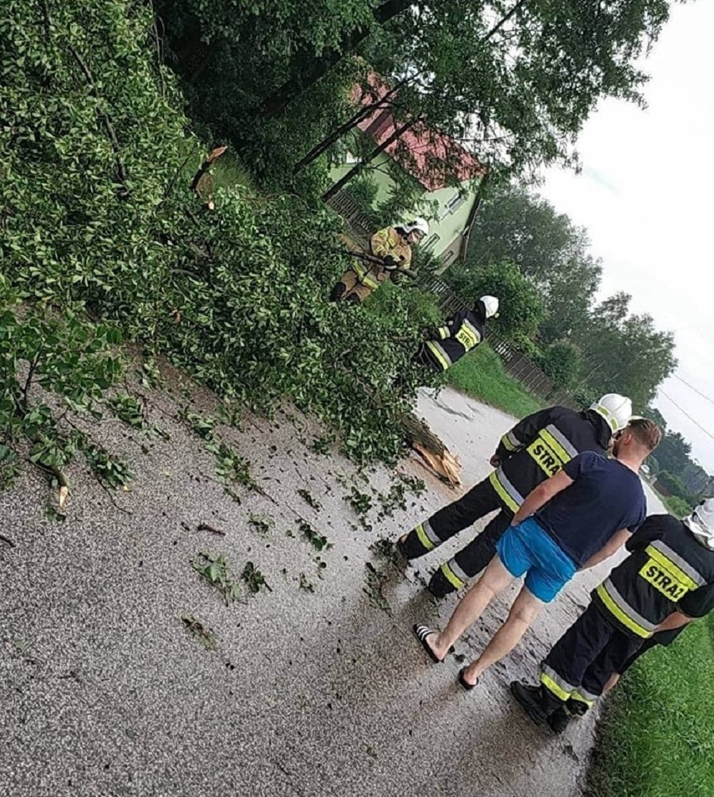 Powalone drzewo zablokowało drogę w Czajkowej - Zdjęcie główne