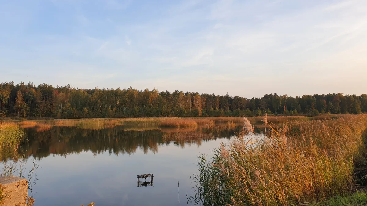 Rewitalizacja Stawów Cyranowskich. Czy uda się znaleźć złoty środek? - Zdjęcie główne