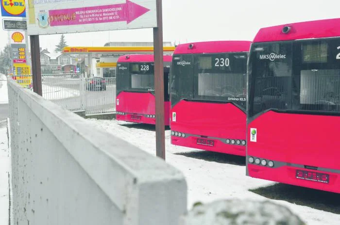 Zmiany w kursowaniu autobusów MKS w Mielcu - Zdjęcie główne