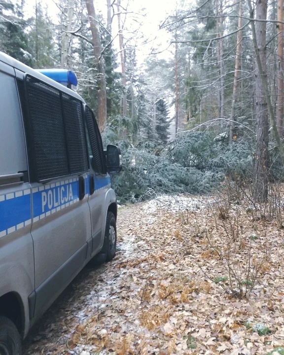 Kradzież w mieleckim rezerwacie - Zdjęcie główne