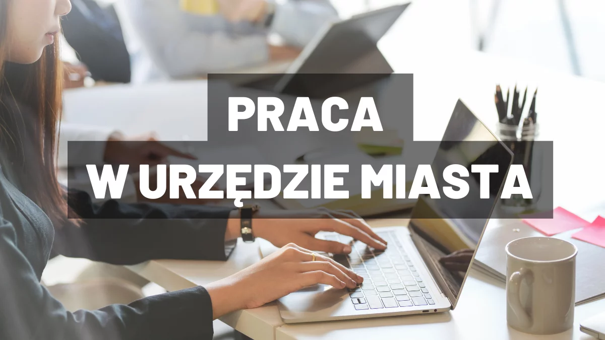 Urząd Miejski w Mielcu ogłasza rekrutację. Aktualne oferty pracy - Zdjęcie główne