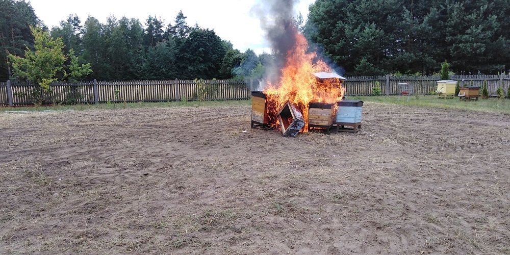 Zgnilec amerykański z Mielca dotarł do Kolbuszowej. Spalono kilka uli [ZDJĘCIA] - Zdjęcie główne