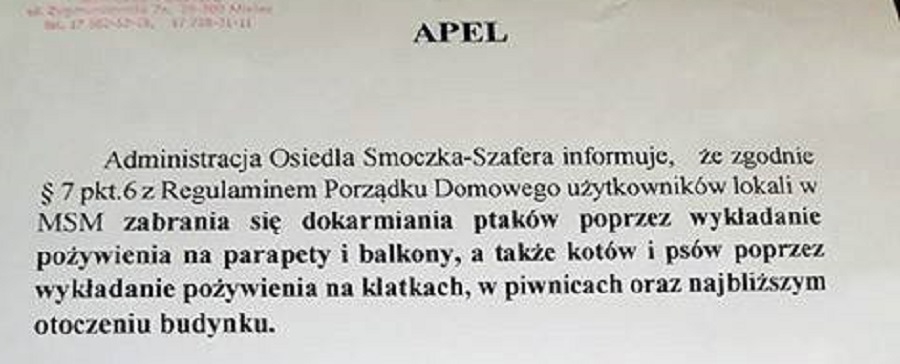 Mielecka Spółdzielnia apeluje: Nie można dokarmiać bezdomnych zwierząt w okolicach budynków MSM. Animalsi oburzeni!  - Zdjęcie główne