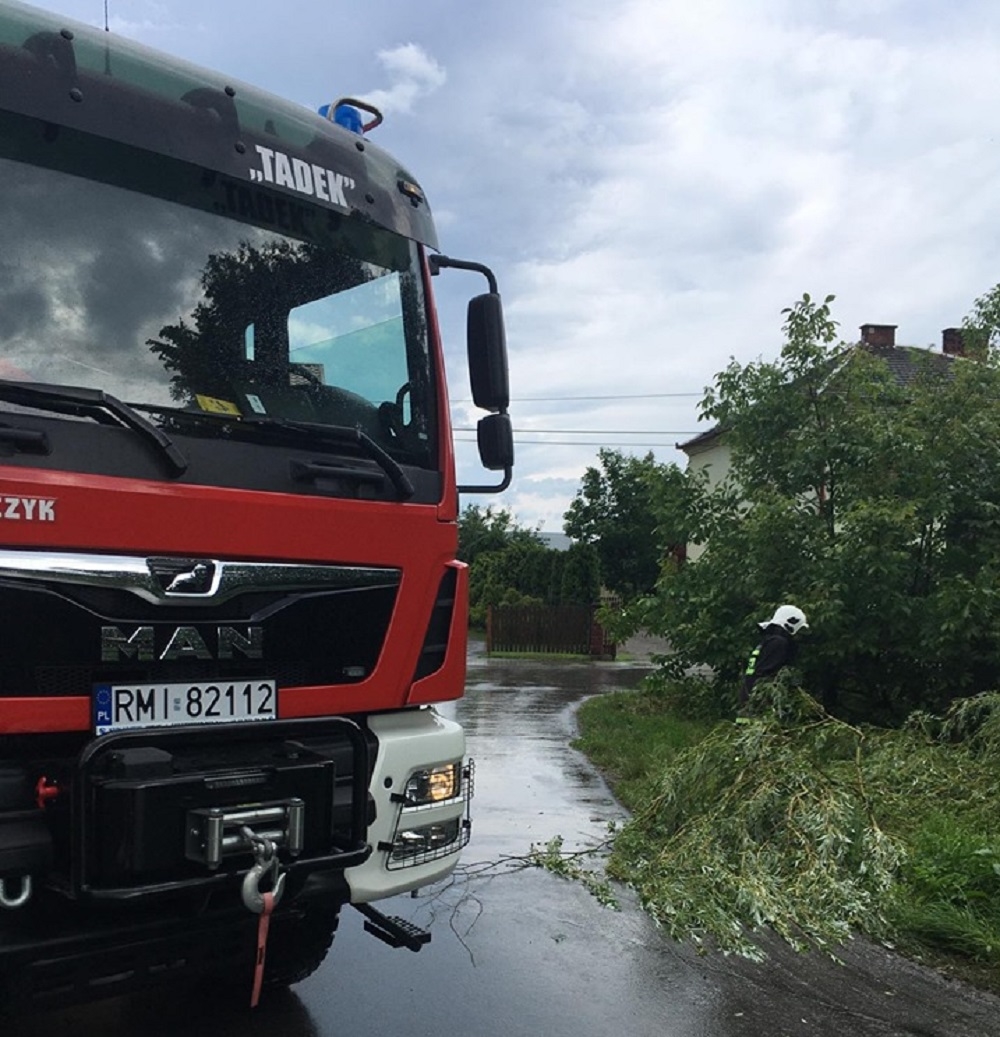 Burza nad powiatem mieleckim łamała drzewa! [FOTO] - Zdjęcie główne