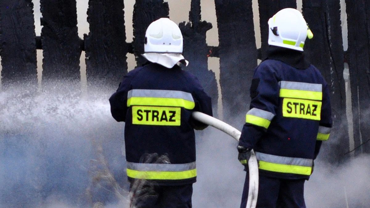 Pożar w miejscowości Szafranów - Zdjęcie główne