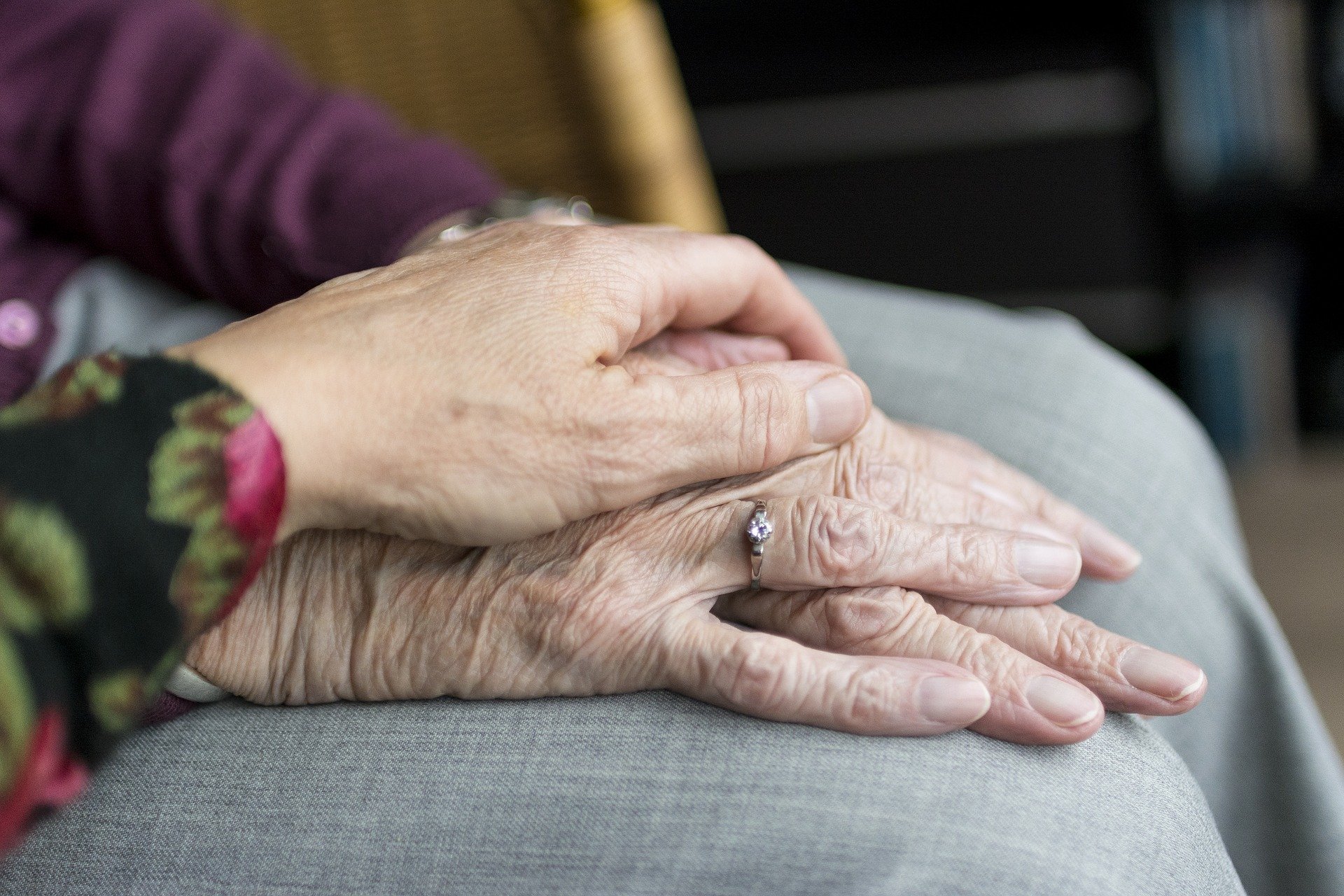 Specjalna infolinia, pomoc w zakupach i wolontariusze w każdej gminie. Aby seniorzy nie pozostali sami - Zdjęcie główne