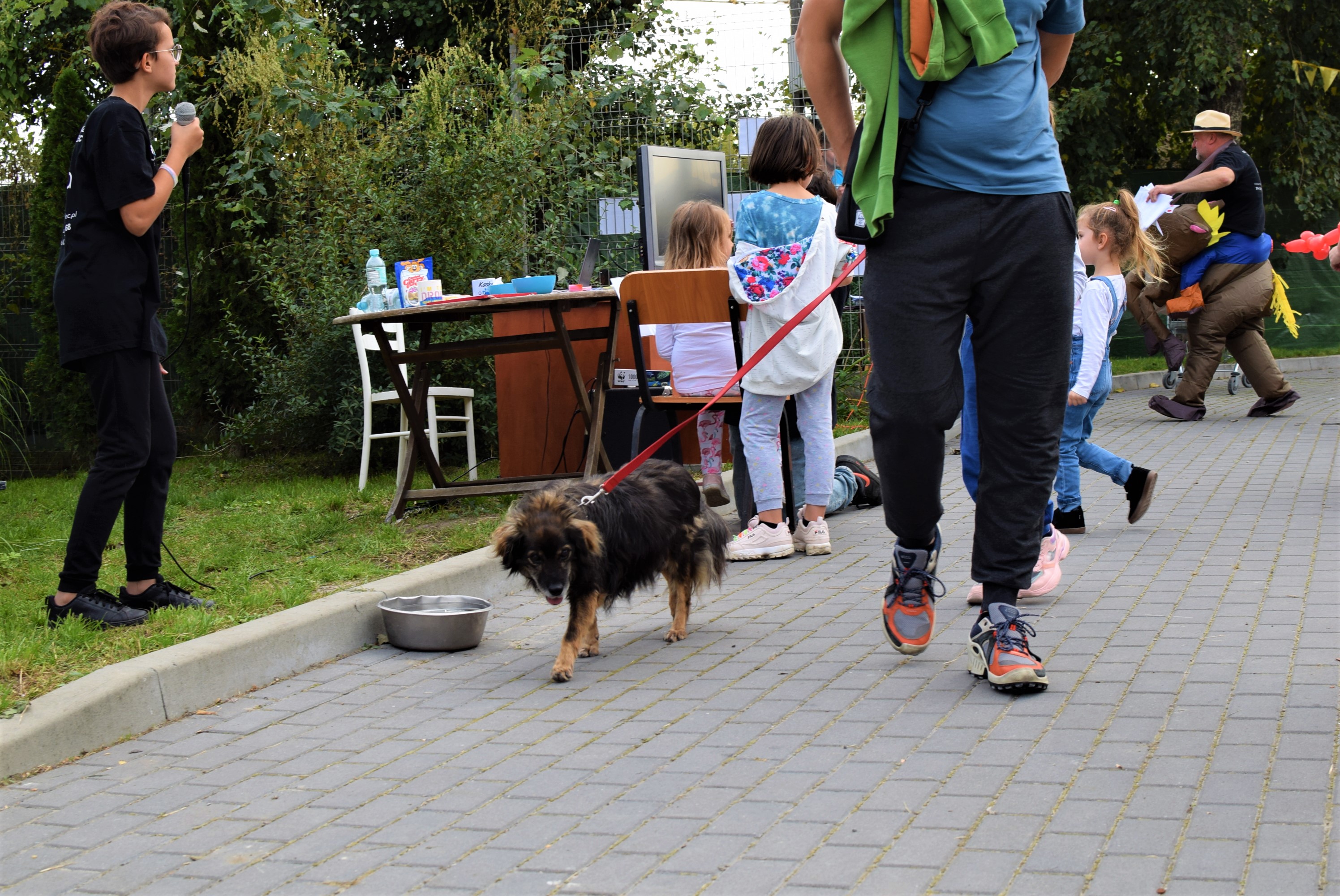 Dni Otwarte w mieleckim schronisku [ZDJĘCIA]