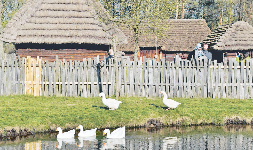 Potańcówka w skansenie - Zdjęcie główne