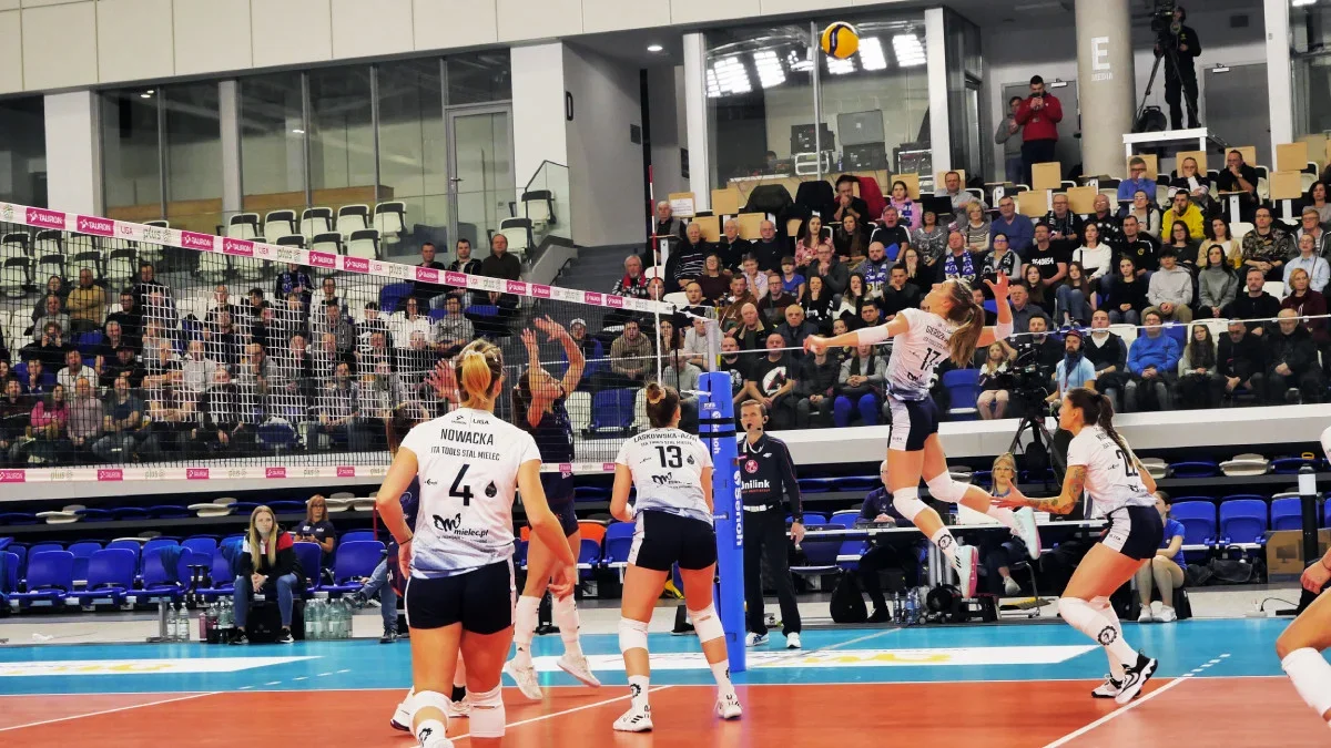 Tauron Liga: Znakomity mecz ITA TOOLS Stal Mielec. Pałac Bydgoszcz bezradny [ZDJĘCIA] - Zdjęcie główne