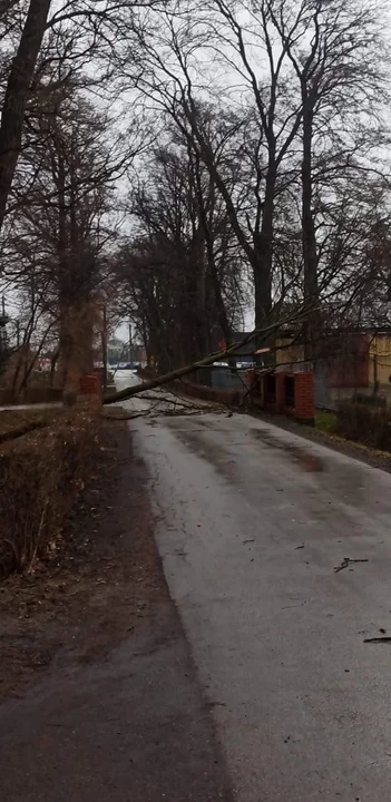 Śnieżna burza na Podkarpaciu. Uszkodzone dachy na szkołach, powalone drzewa [ZDJĘCIA, WIDEO] - Zdjęcie główne