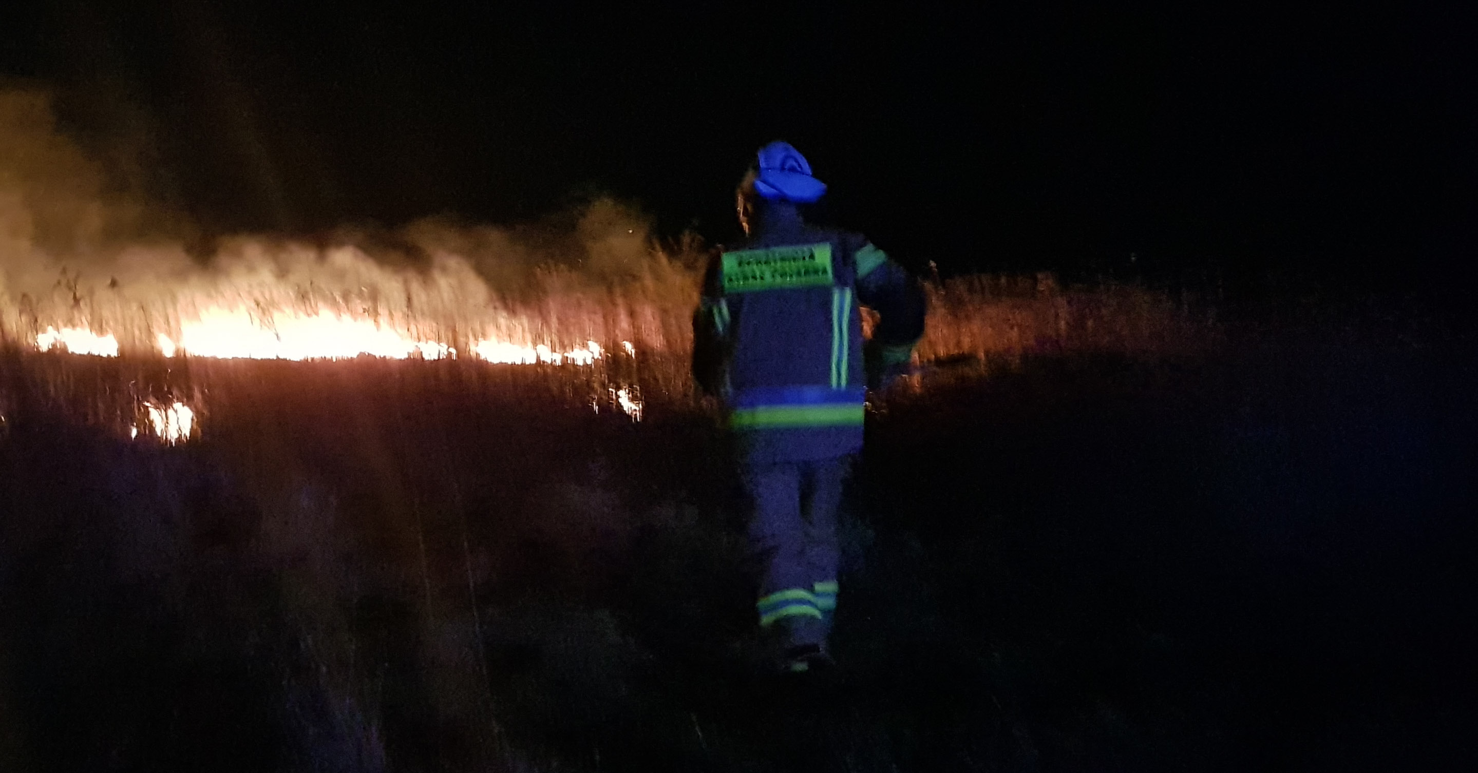 Strażacy gasili pożar suchej trawy - Zdjęcie główne