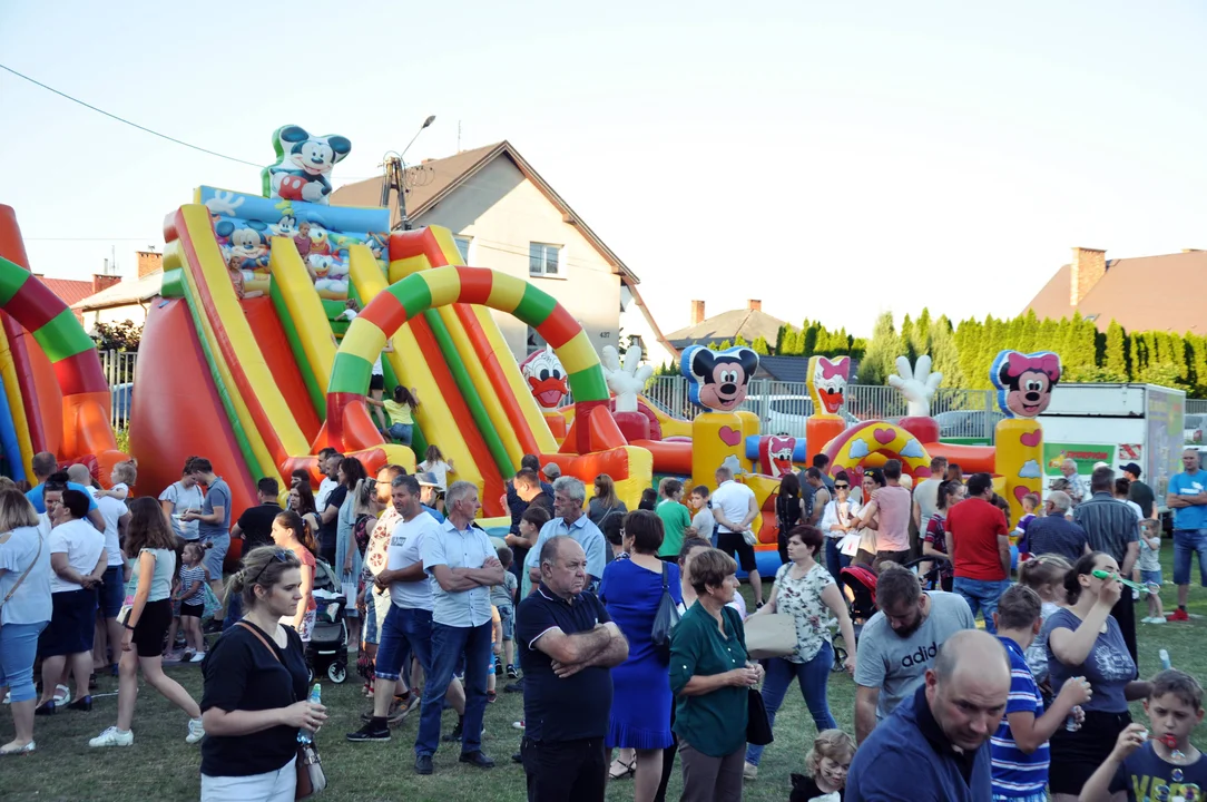 Charytatywny Piknik Rodzinny w Czerminie [ZDJĘCIA] - Zdjęcie główne