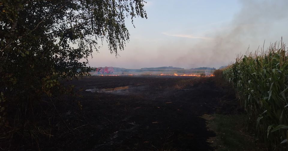 Strażacy gasili ściernisko - Zdjęcie główne