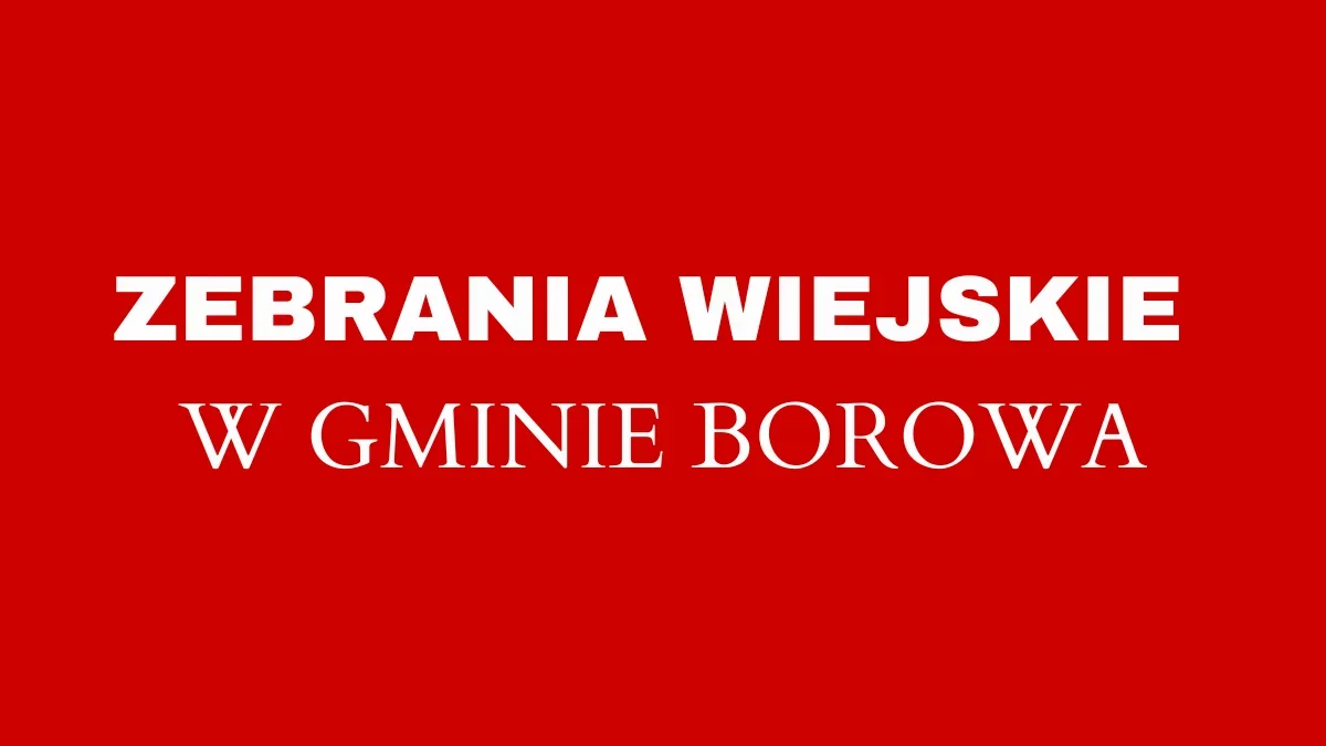 Zebrania wiejskie w gminie Borowa. Znamy terminy - Zdjęcie główne