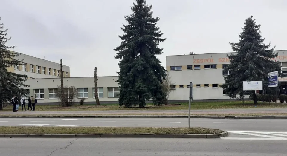 Znamy powód usunięcia drzew przy ZST w Mielcu - Zdjęcie główne