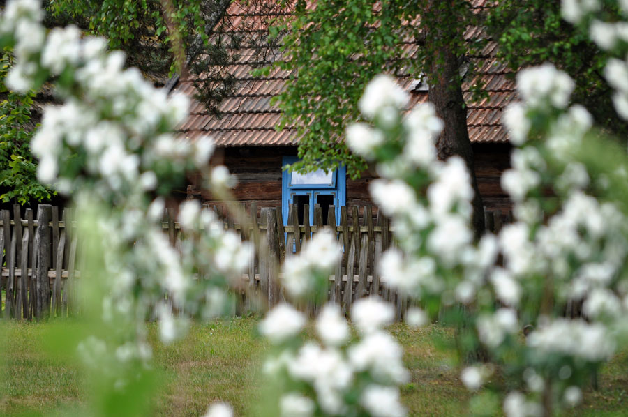 Skansen w Kolbuszowej ponownie otwarty dla zwiedzających - Zdjęcie główne