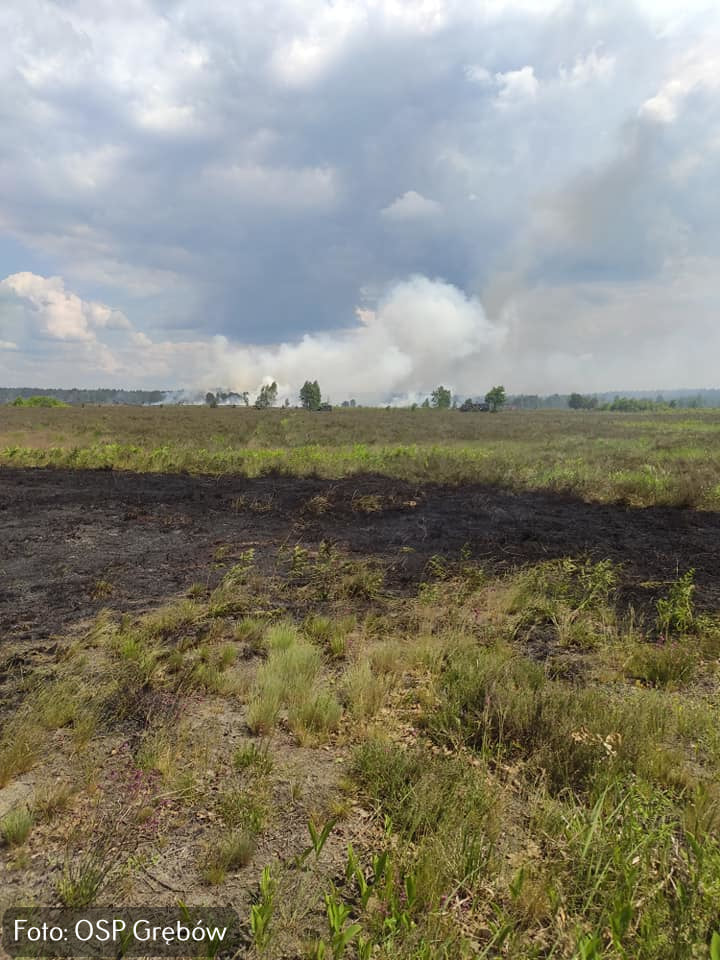 Pożar na poligonie w Nowej Dębie.