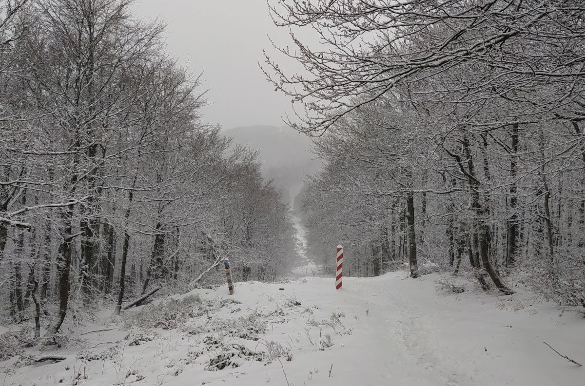 Trójstyk granic Polski, Słowacji i Ukrainy w zimowej szacie - Zdjęcie główne