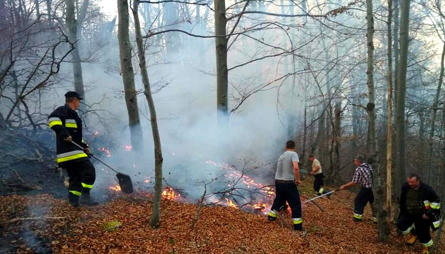 Co wywołało pożar w Bieszczadach? Przyczyna jest tak banalna, że aż straszna - Zdjęcie główne