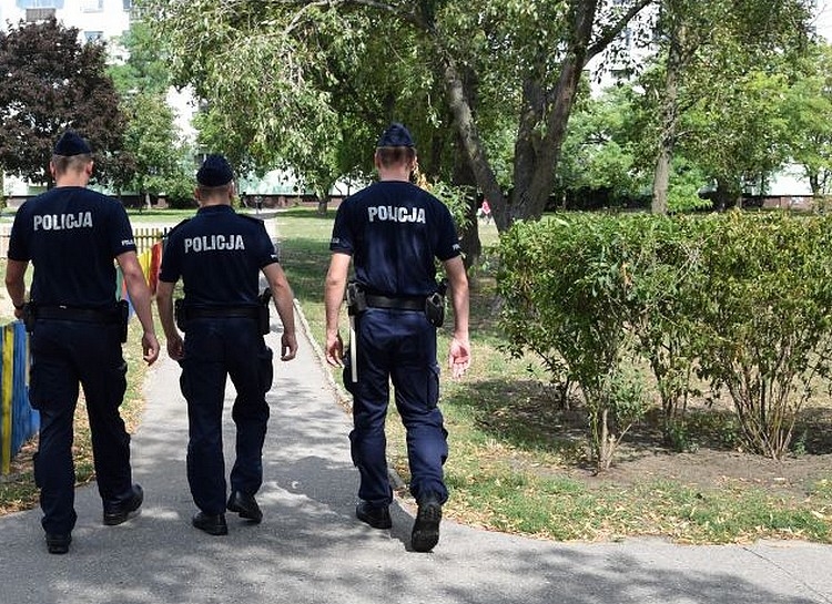Plaga aresztowań za narkotyki na festiwalu w Cieszanowie - Zdjęcie główne
