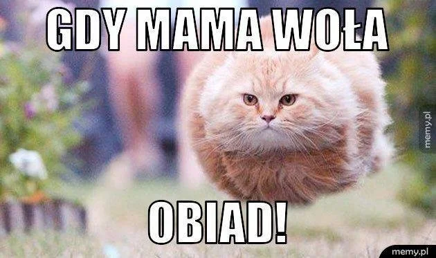 Najlepsze memy na Dzień Matki 2022. Tak internauci śmieją się z tego święta i tekstów, które często słyszeli od mamy - Zdjęcie główne