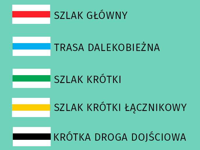 Kolory szlaków w lesie nie oznaczają trudności. Poznaj zasady - Zdjęcie główne