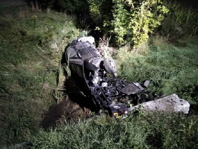 Przed samochód wybiegła sarna. Auto dachowało! - Zdjęcie główne
