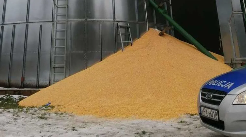 Śmierć pod tonami ziaren kukurydzy! Tragedia w Oleszycach - Zdjęcie główne