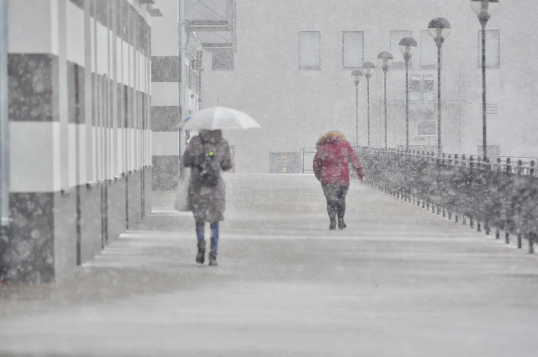 Bliskie spotkanie z piorunem podczas burzy śnieżnej na Podkarpaciu. Zobacz nagranie - Zdjęcie główne