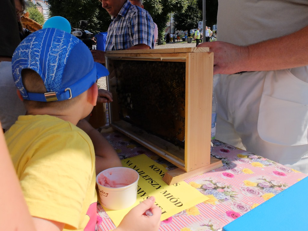 Święto Miodu i Piknik Organizacji Pozarządowych [FOTO] - Zdjęcie główne