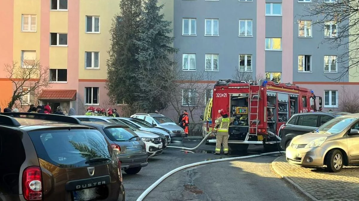 Pożar na ulicy Osmeckiego w Rzeszowie. Niestety, z ofiarą śmiertelną - Zdjęcie główne