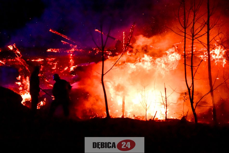 POŻAR! Z tego domu nic nie zostało [FOTO] - Zdjęcie główne