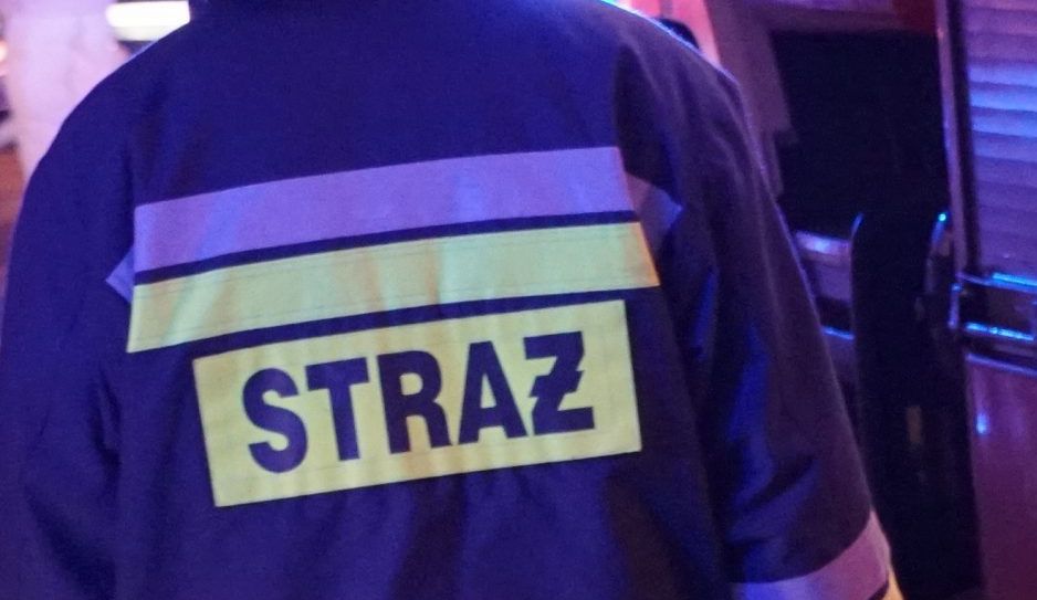 Pożar chryslera pod wiaduktem - Zdjęcie główne