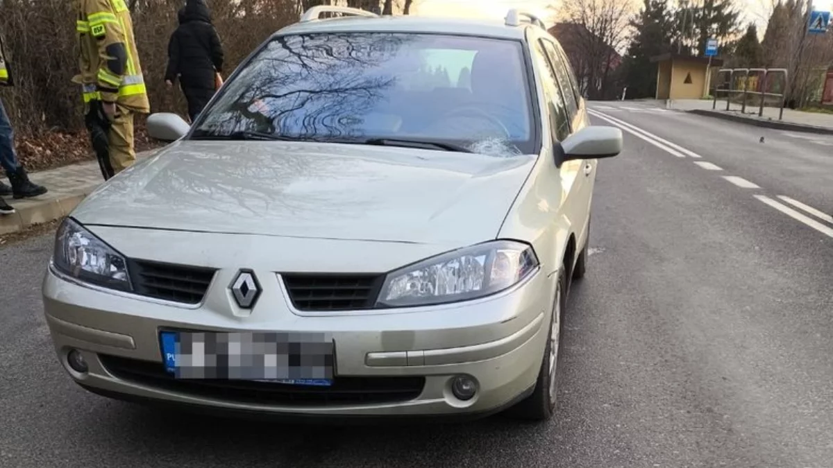 Dramat w Szebniach. Renault potrącił pieszą na pasach [AKUALIZACJA] - Zdjęcie główne