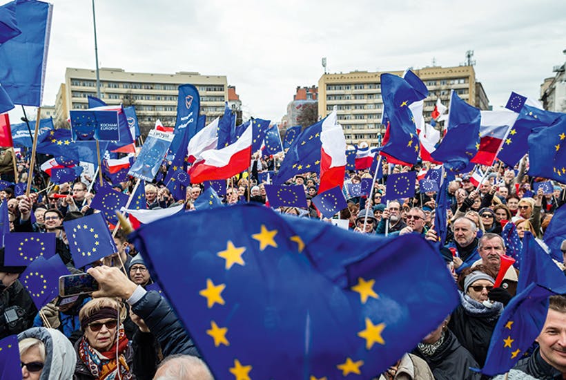 BREXIT. Podkarpacie KOCHA Wielką Brytanię. Z wzajemnością? [ANKIETA] - Zdjęcie główne