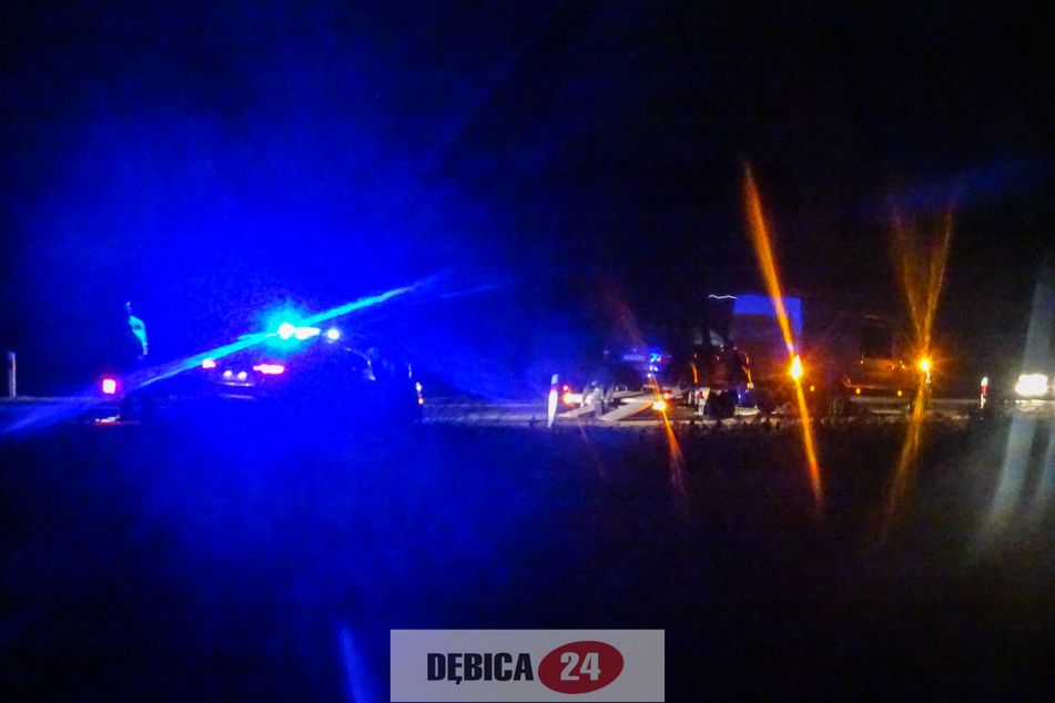 ROZJECHANE stado dzików. Kolejne w ostatnich dniach! - Zdjęcie główne