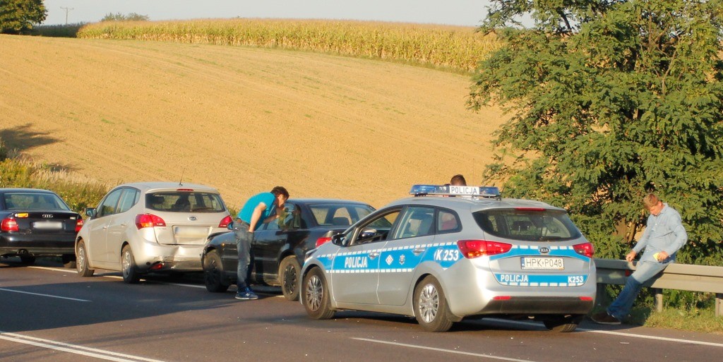 Pijany bez prawka zaryzykował życiem. Nie swoim - Zdjęcie główne