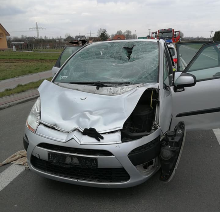 Tragedia na drodze. Rowerzysta zginął po potrąceniu - Zdjęcie główne