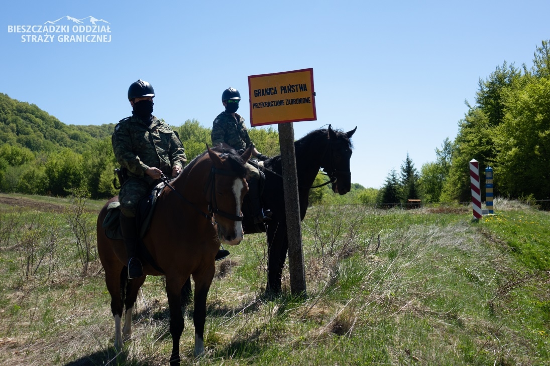 Patrole konne Straży Granicznej niezawodne na granicy w Bieszczadach [FOTO] - Zdjęcie główne