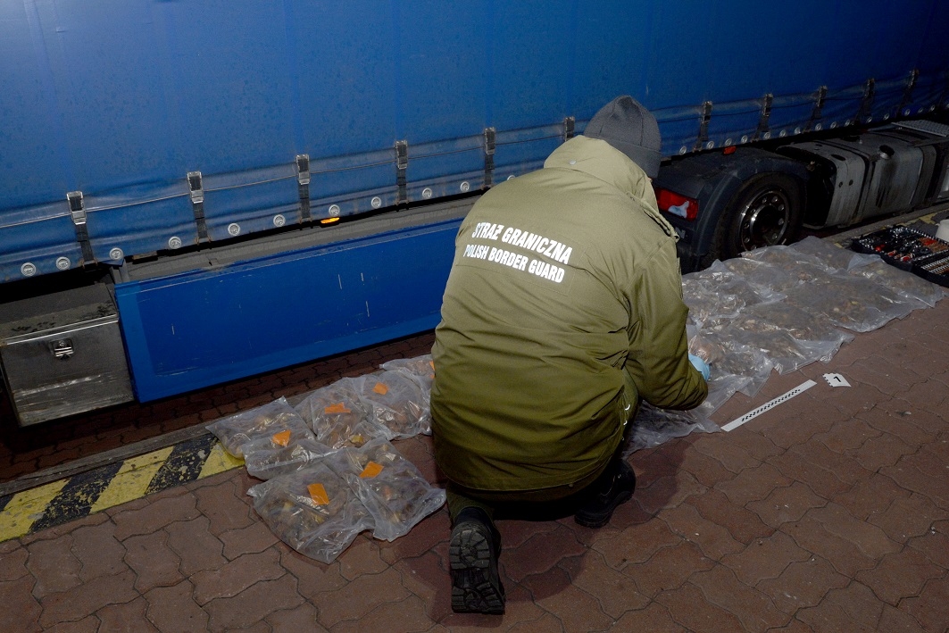 Próbował wywieźć 47 kg bursztynu w zbiorniku paliwa! [FOTO] - Zdjęcie główne