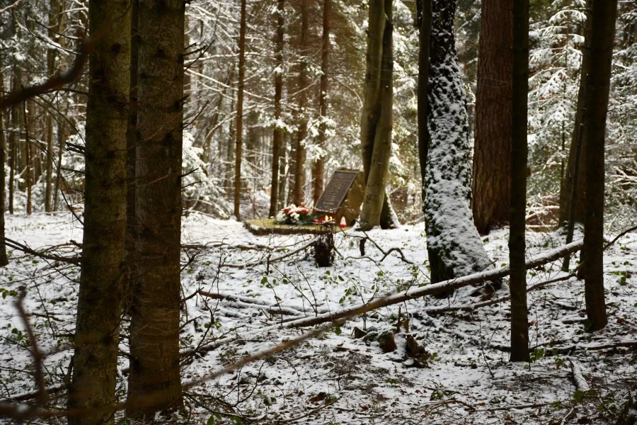 Minęło 31 lat od katastrofy helikoptera koło Cisnej! Zginęło wtedy 10 osób! - Zdjęcie główne