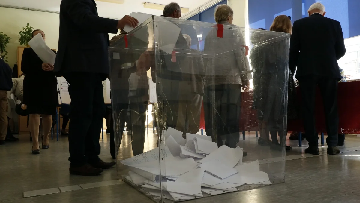 Obserwuj wyniki wyborów samorządowych 2024 w Tarnobrzegu na żywo [WIDEO] - Zdjęcie główne