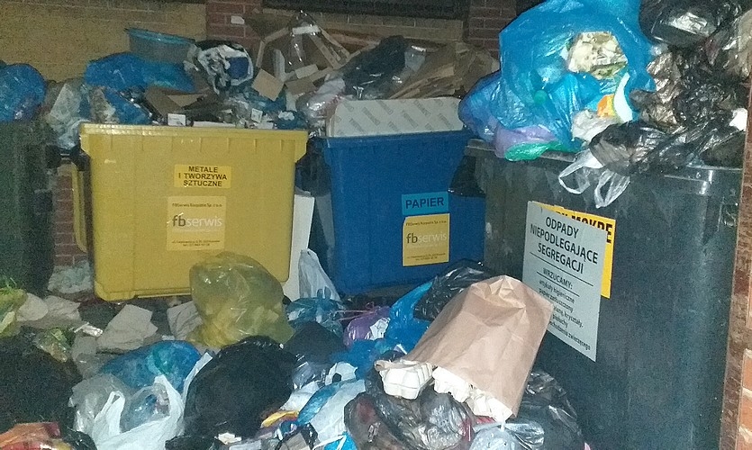 Od 1 marca nowe STAWKI odbioru śmieci w Rzeszowie - Zdjęcie główne